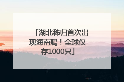 湖北秭归首次出现海南鳽！全球仅存1000只