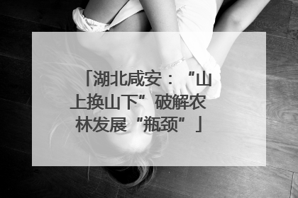 湖北咸安：“山上换山下”破解农林发展“瓶颈”