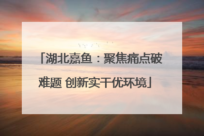 湖北嘉鱼：聚焦痛点破难题 创新实干优环境