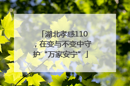 湖北孝感110，在变与不变中守护“万家安宁”