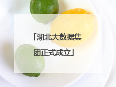 湖北大数据集团正式成立