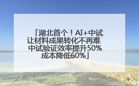 湖北首个！AI+中试让材料成果转化不再难 中试验证效率提升50%成本降低60%