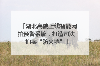 湖北高院上线智能网拍预警系统，打造司法拍卖“防火墙”
