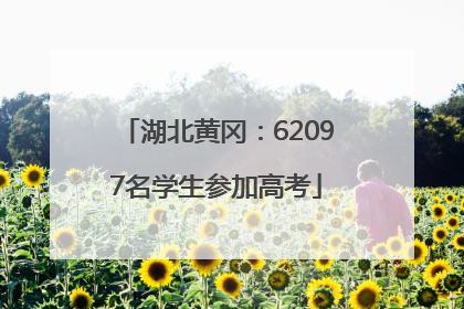 湖北黄冈：62097名学生参加高考