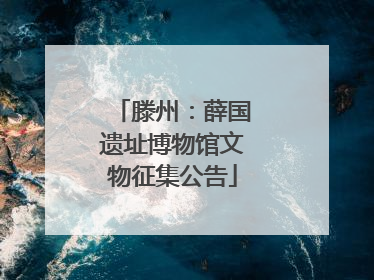 滕州：薛国遗址博物馆文物征集公告