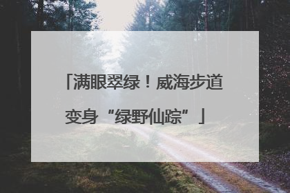 满眼翠绿！威海步道变身“绿野仙踪”