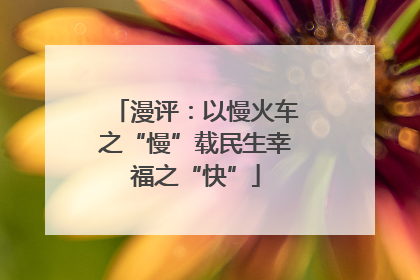 漫评：以慢火车之“慢”载民生幸福之“快”
