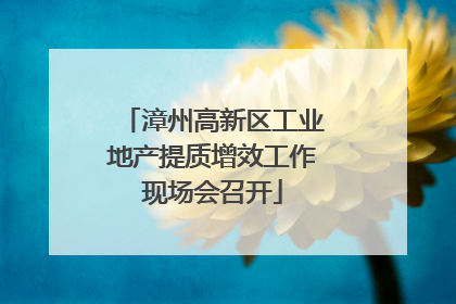 漳州高新区工业地产提质增效工作现场会召开