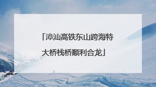 漳汕高铁东山跨海特大桥栈桥顺利合龙