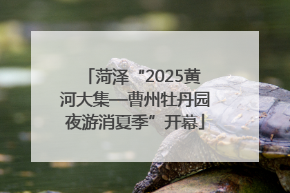 菏泽“2025黄河大集—曹州牡丹园夜游消夏季”开幕