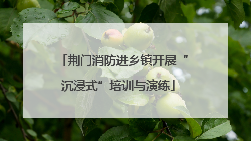 荆门消防进乡镇开展“沉浸式”培训与演练