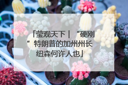 莹观天下｜“硬刚”特朗普的加州州长纽森何许人也