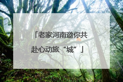 老家河南邀你共赴心动旅“城”