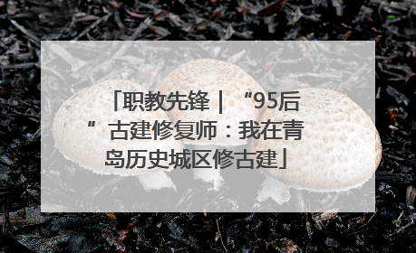 职教先锋｜“95后”古建修复师：我在青岛历史城区修古建