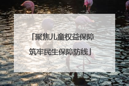聚焦儿童权益保障 筑牢民生保障防线