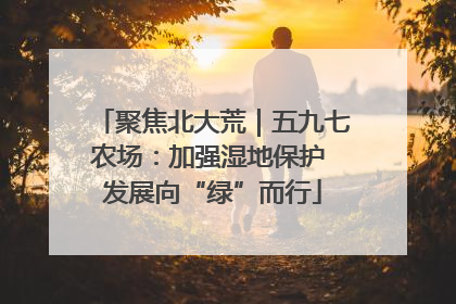 聚焦北大荒｜五九七农场：加强湿地保护 发展向“绿”而行