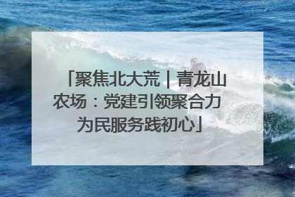 聚焦北大荒｜青龙山农场：党建引领聚合力 为民服务践初心