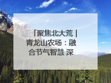 聚焦北大荒｜青龙山农场：融合节气智慧 深耕安全沃土