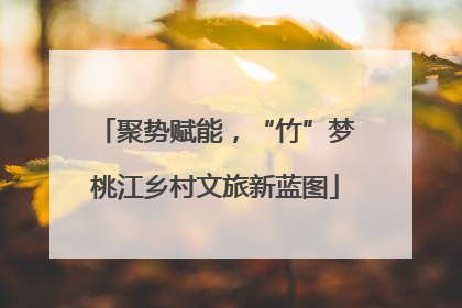 聚势赋能，“竹”梦桃江乡村文旅新蓝图