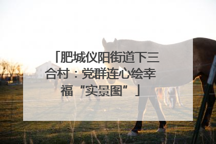 肥城仪阳街道下三合村：党群连心绘幸福“实景图”