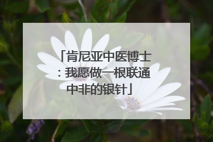 肯尼亚中医博士：我愿做一根联通中非的银针