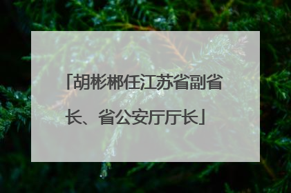 胡彬郴任江苏省副省长、省公安厅厅长