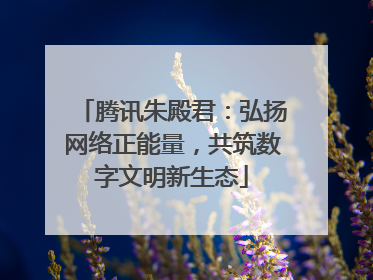 腾讯朱殿君：弘扬网络正能量，共筑数字文明新生态