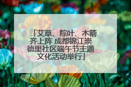 艾草、粽叶、木箭齐上阵 成都锦江崇德里社区端午节主题文化活动举行