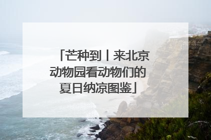 芒种到丨来北京动物园看动物们的夏日纳凉图鉴