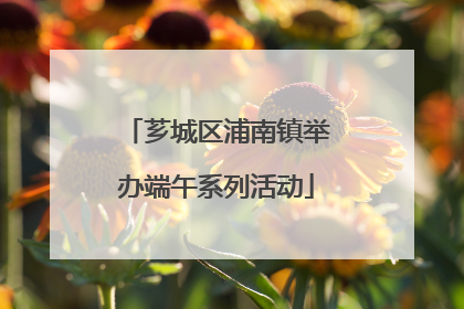 芗城区浦南镇举办端午系列活动