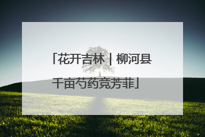 花开吉林｜柳河县千亩芍药竞芳菲
