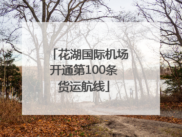 花湖国际机场开通第100条货运航线