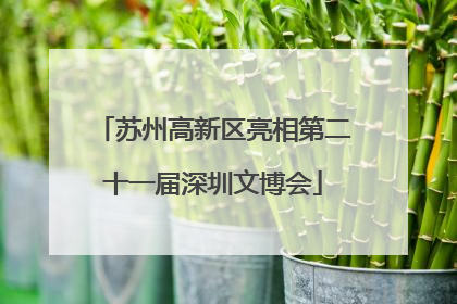 苏州高新区亮相第二十一届深圳文博会