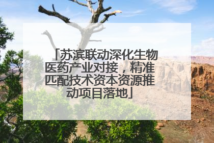 苏滨联动深化生物医药产业对接，精准匹配技术资本资源推动项目落地
