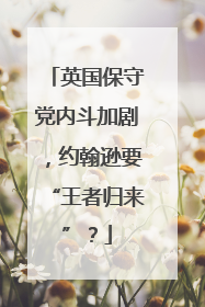 英国保守党内斗加剧，约翰逊要“王者归来”？