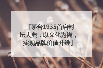 茅台1935首启封坛大典：以文化为锚，实现品牌价值升维