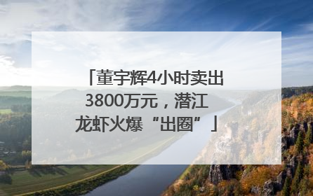 董宇辉4小时卖出3800万元，潜江龙虾火爆“出圈”