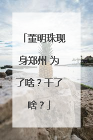 董明珠现身郑州 为了啥？干了啥？