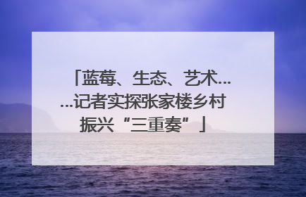 蓝莓、生态、艺术……记者实探张家楼乡村振兴“三重奏”