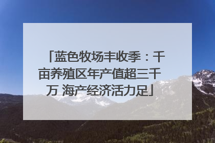 蓝色牧场丰收季：千亩养殖区年产值超三千万 海产经济活力足