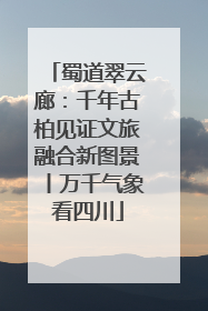 蜀道翠云廊：千年古柏见证文旅融合新图景丨万千气象看四川