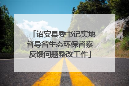 诏安县委书记实地督导省生态环保督察反馈问题整改工作