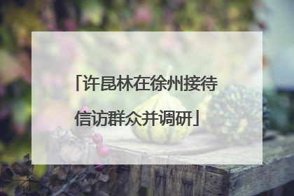 许昆林在徐州接待信访群众并调研