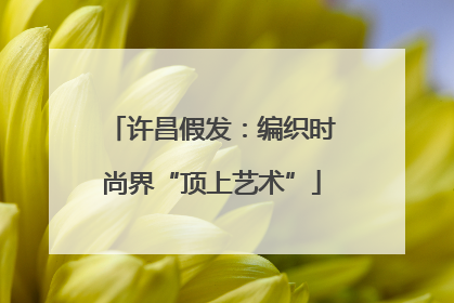 许昌假发：编织时尚界“顶上艺术”