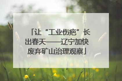 让“工业伤疤”长出春天——辽宁加快废弃矿山治理观察