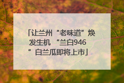 让兰州“老味道”焕发生机 “兰白946”白兰瓜即将上市