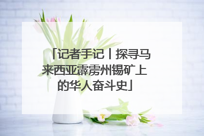 记者手记丨探寻马来西亚霹雳州锡矿上的华人奋斗史