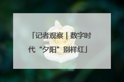 记者观察｜数字时代“夕阳”别样红