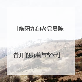 衡阳九旬老党员陈普开的执着与坚守