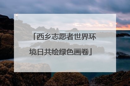 西乡志愿者世界环境日共绘绿色画卷